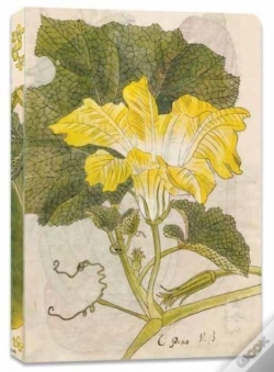 Capa do artigo Japanese Squash Blossom Lined Paperback Journal