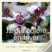 Capa do artigo Jardin Coloré En Hiver