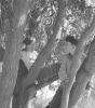 Jardins Du Riesthal - Preview