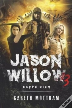 Capa do artigo Jason Willow 3