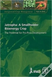 Capa do artigo Jatropha