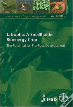 Capa do artigo Jatropha