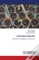 Jatropha Species