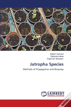 Capa do artigo Jatropha Species