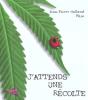 J'Attends Une Recolte - Preview