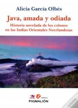 Capa do artigo Java Amada Y Odiada