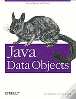 Capa do artigo Java Data Objects