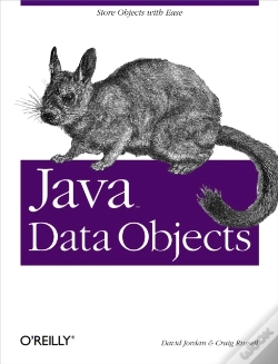 Capa do artigo Java Data Objects