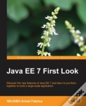 Java Ee 7 First Look
