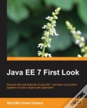 Capa do artigo Java Ee 7 First Look