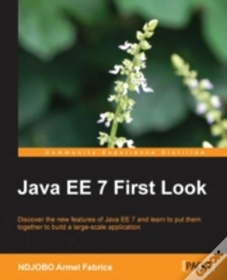 Capa do artigo Java Ee 7 First Look