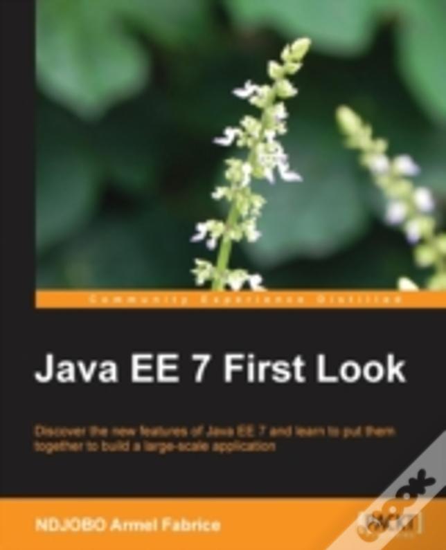 Java Ee 7 First Look