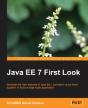 Java Ee 7 First Look - Preview