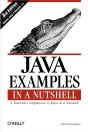 Java Examples In A Nutshell - Preview