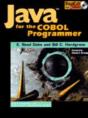 Java For The Cobol Programmer - Preview