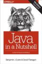 Java In A Nutshell - Preview