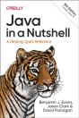 Java In A Nutshell - Preview