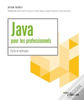 Java Pour Les Professionnels - Masterclass Java - Prefaces De Cosme Charlier (Cdiscount) Et Ben-Amar
