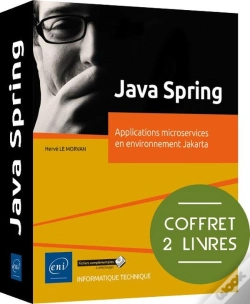 Capa do artigo Java Spring : Applications Microservices En Environnement Jakarta