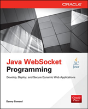 Java Websocket Programming - Preview