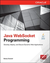 Capa do artigo Java Websocket Programming