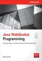 Java Websocket Programming - Preview