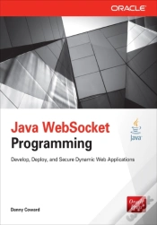 Capa do artigo Java Websocket Programming