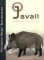 Javali - Preview