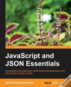 Capa do artigo Javascript And Json Essentials