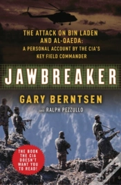 Capa do artigo Jawbreaker