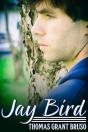 Jay Bird - Preview