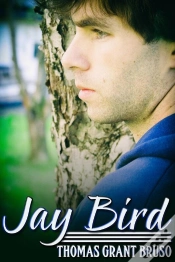 Capa do artigo Jay Bird
