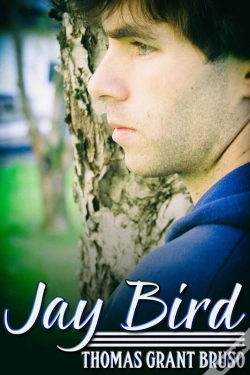 Capa do artigo Jay Bird