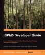 Jbpm 5 Developer Guide - Preview