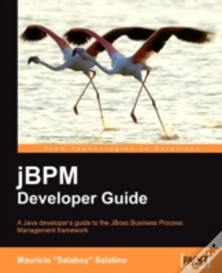 Capa do artigo Jbpm Developer Guide