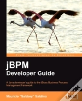 Jbpm Developer Guide