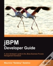 Capa do artigo Jbpm Developer Guide