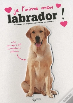 Capa do artigo Je L'Aime Mon Labrador !