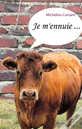 Je M'Ennuie ...
