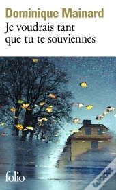 Je Voudrais Tant Que Tu Te Souviennes