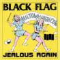 Jealous Again - CD - Preview