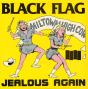 Jealous Again - Vinil - Preview