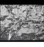 Jean Gaumy - D'apres Nature - Preview