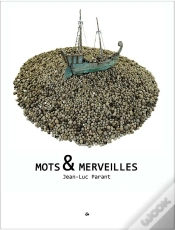 Capa do artigo Jean-Luc Parant - Mots & Merveilles