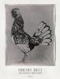 Jean Pagliuso: Poultry Suite - Preview