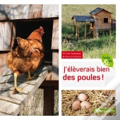 J'Éleverais Bien Des Poules !