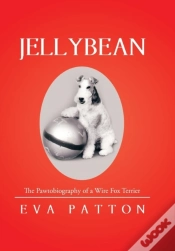 Capa do artigo Jellybean