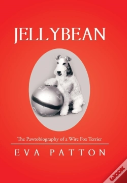 Capa do artigo Jellybean