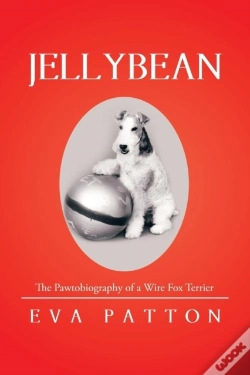 Capa do artigo Jellybean