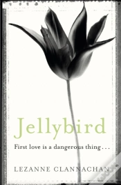 Capa do artigo Jellybird